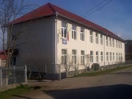 imagine-articol0_43861