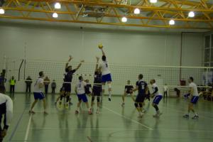 imagine-articol0_43883