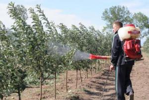 imagine-articol0_43903