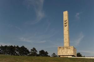 imagine-articol0_43937