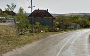 imagine-articol0_43975