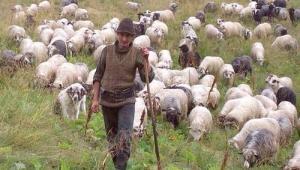 imagine-articol0_43980