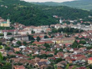 imagine-articol0_44005