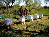 imagine-articol0_44034