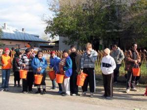 imagine-articol0_44078