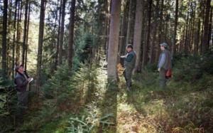 imagine-articol0_44121