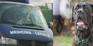 imagine-articol0_44171