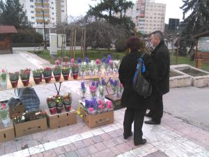 imagine-articol0_44172