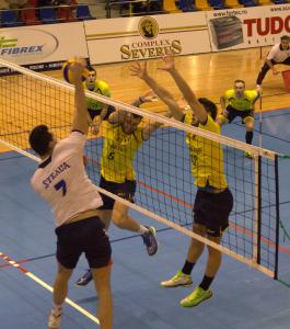 imagine-articol0_44190