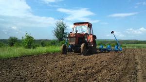 imagine-articol0_44212