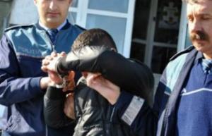 imagine-articol0_44221