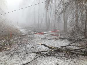 imagine-articol0_44227