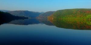 imagine-articol0_44242