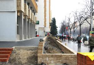 imagine-articol0_44301