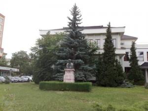 imagine-articol0_44303