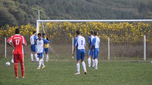 imagine-articol0_44338