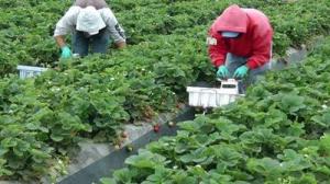 imagine-articol0_44362