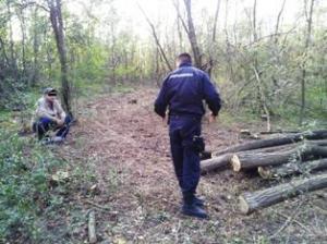 imagine-articol0_44413