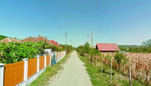 imagine-articol0_44460