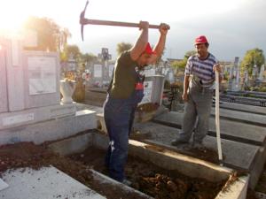 imagine-articol0_44539