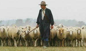 imagine-articol0_44545