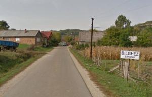 imagine-articol0_44575