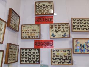 imagine-articol0_44594