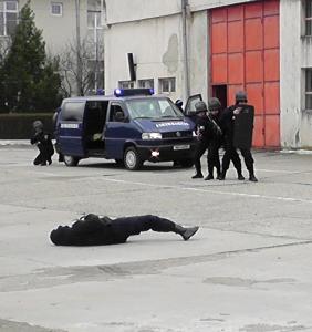 imagine-articol0_44645