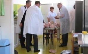 imagine-articol0_44681