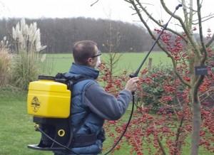 imagine-articol0_44767