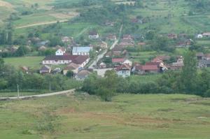 imagine-articol0_44803