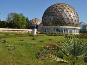 imagine-articol0_44806