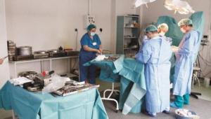 imagine-articol0_44810