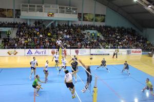 imagine-articol0_44883