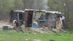 imagine-articol0_44893