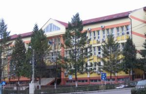 imagine-articol0_44894