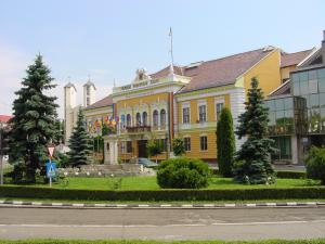 imagine-articol0_44922