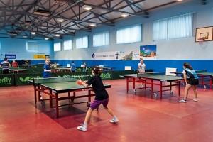 imagine-articol0_44932