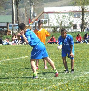 imagine-articol0_44982