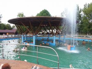 imagine-articol0_44985