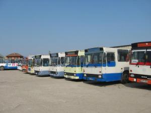 imagine-articol0_44986