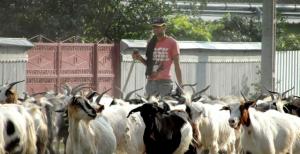 imagine-articol0_45011