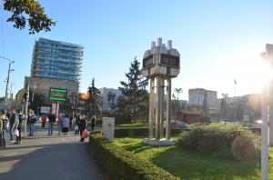 imagine-articol0_45041