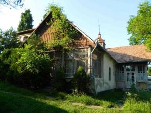 imagine-articol0_45053