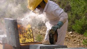 imagine-articol0_45056