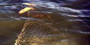 imagine-articol0_45060