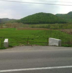 imagine-articol0_45088