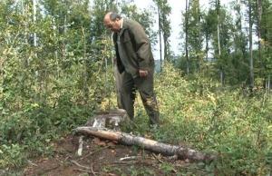 imagine-articol0_45090