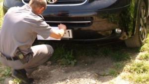 imagine-articol0_45091