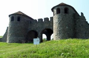 imagine-articol0_45146